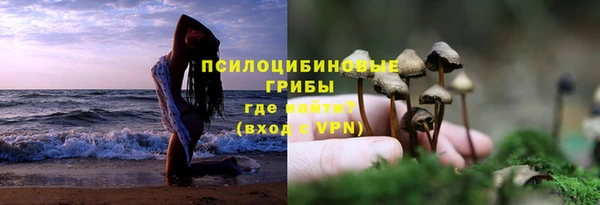 молекула духа Вяземский