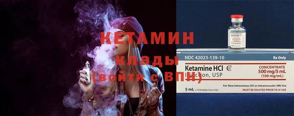 молекула духа Вяземский
