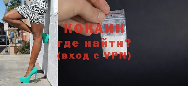 молекула духа Вяземский