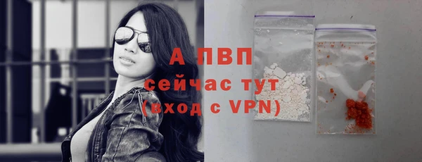 сатива Вязники