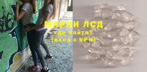 молекула духа Вяземский