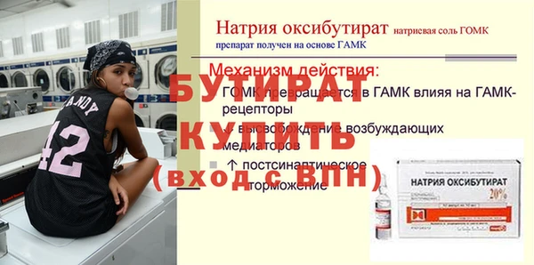 молекула духа Вяземский